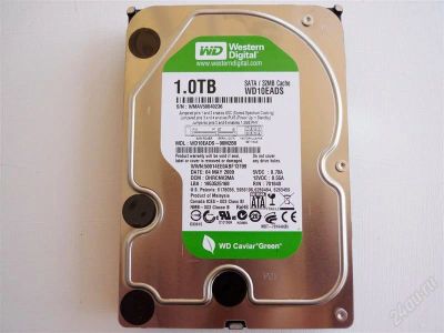 Лот: 1411576. Фото: 1. wd hdd 1tb 5400 32mb << срочно... Жёсткие диски (HDD)
