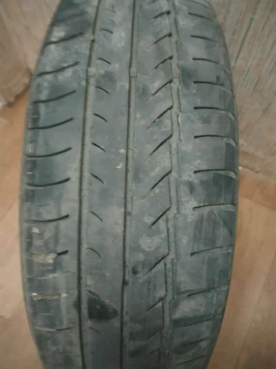 Лот: 11526452. Фото: 1. Tunga Camina 185/65 R14. Шины