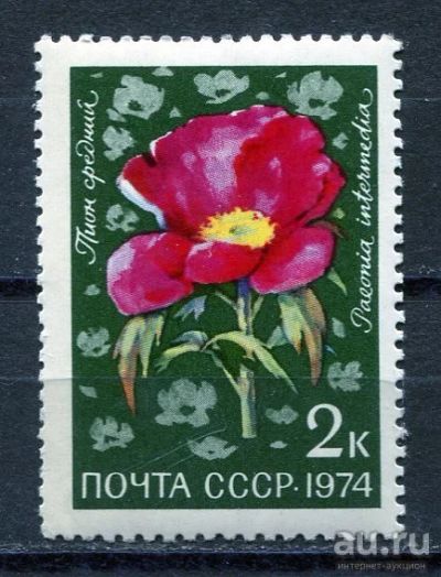 Лот: 15765780. Фото: 1. 1974 СССР Пион средний Цветы Растения... Марки