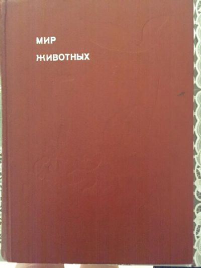 Лот: 21381180. Фото: 1. Игорь Акимушкин. Мир животных... Биологические науки