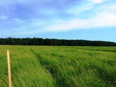 Лот: 17742580. Фото: 1. Куплю участок западное направление... Земельные участки