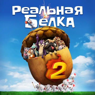 Лот: 24888356. Фото: 1. Реальная белка 2. Видеозаписи, фильмы