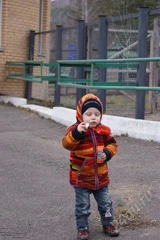 Лот: 2086218. Фото: 1. Куртка теплющая из шерсти гималайского... Верхняя одежда