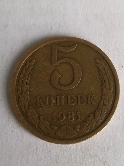 Лот: 13274329. Фото: 1. 5 копеек 1981. Россия и СССР 1917-1991 года