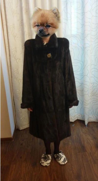Лот: 4636522. Фото: 1. Шуба норка. Из пластин. Верхняя одежда