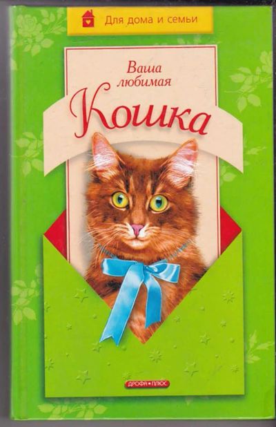 Лот: 23439746. Фото: 1. Ваша любимая кошка. Домашние животные