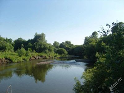 Лот: 2310029. Фото: 1. Земельные участки в живописном... Земельные участки