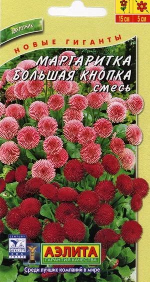Лот: 5064776. Фото: 1. Маргаритка большая кнопка (семена... Садовые цветы