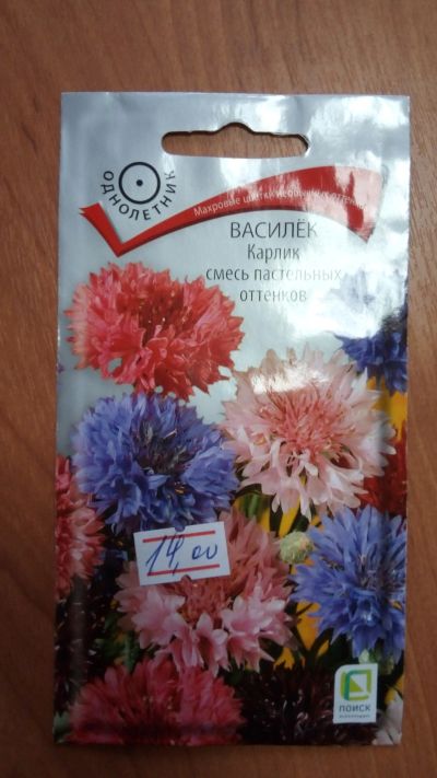 Лот: 15588442. Фото: 1. василек карлик пастельных тонов. Садовые цветы