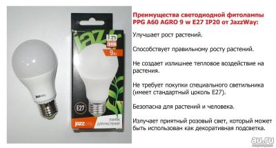Лот: 13482111. Фото: 1. Лампа светодиодная LED 9Вт A60... Другое (комнатные растения и уход)