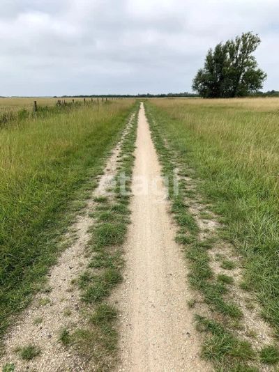 Лот: 25293151. Фото: 1. участок , коттеджный посёлок Есаулово... Земельные участки