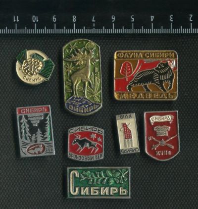 Лот: 7728618. Фото: 1. 1(№3212) значки Сибирь,лотом 8... Памятные медали