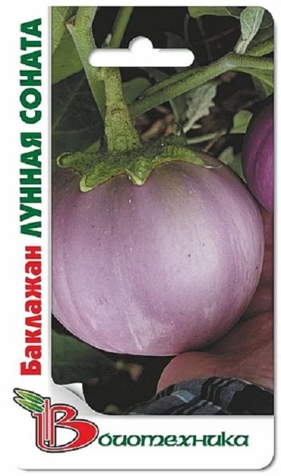 Лот: 6698370. Фото: 1. Баклажан Лунная Соната, 20 шт. Другое (семена, рассада, садовые растения)