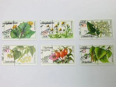 Лот: 23314147. Фото: 1. Лекарственные растения. Полная... Марки