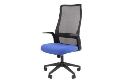 Лот: 24680656. Фото: 1. Кресло офисное CHAIRMAN 573. Стулья и кресла офисные