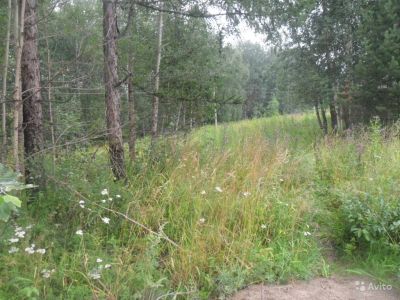 Лот: 5993473. Фото: 1. Куплю земельный участок. Земельные участки