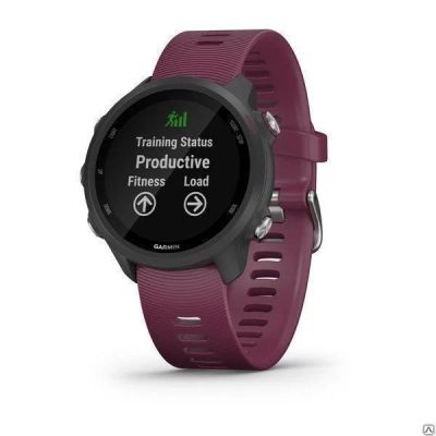 Лот: 15892916. Фото: 1. Умные часы Garmin Forerunner 245... Смарт-часы, фитнес-браслеты, аксессуары