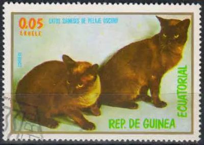 Лот: 21440443. Фото: 1. 1976. Экваториальная Гвинея. Кошки... Марки