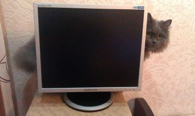 Лот: 3229460. Фото: 1. Монитор 17 Samsung SyncMaster... ЖК-мониторы