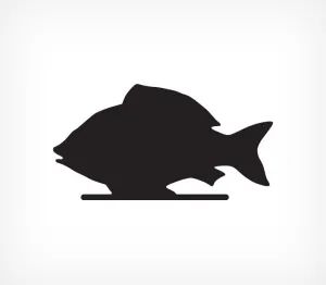 Лот: 19977634. Фото: 1. Меловая табличка "Рыба" BB FISH. Торговое