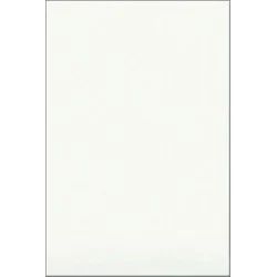 Лот: 8835336. Фото: 1. керамическая плитка белая глянец... Кафель, гранит, интерьерный камень