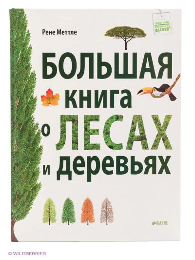 Лот: 7019011. Фото: 1. Большая книга о лесах и деревьях. Познавательная литература