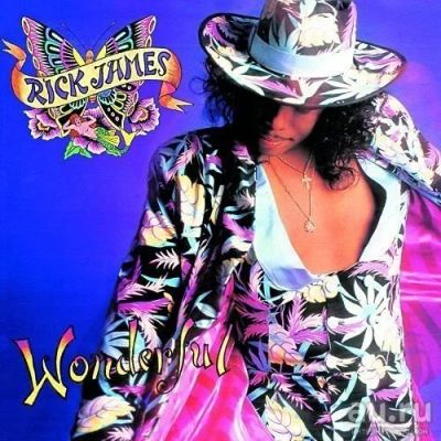 Лот: 9162872. Фото: 1. Rick James - Wounderful - 1988... Аудиозаписи