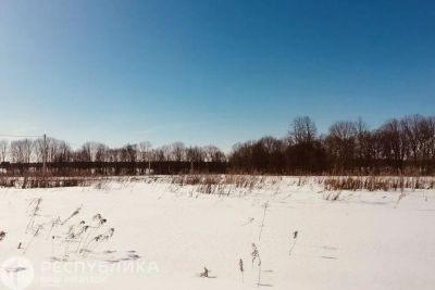 Лот: 25117889. Фото: 1. Продажа Земельный участок Березовка... Земельные участки