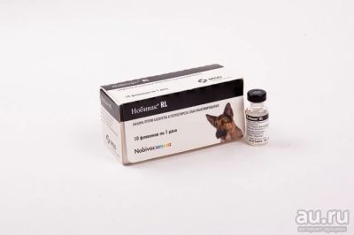 Лот: 11044514. Фото: 1. Нобивак (Nobivac) Rabies + Lepto... Косметика для животных