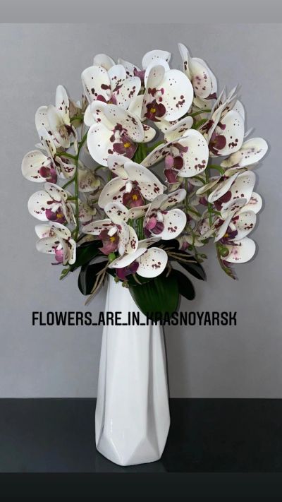 Лот: 18010156. Фото: 1. Орхидеи для интерьера. Другое (предметы интерьера)