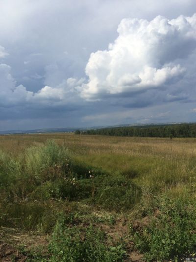 Лот: 15036341. Фото: 1. Участок около с.Есаулово 6,4га... Земельные участки