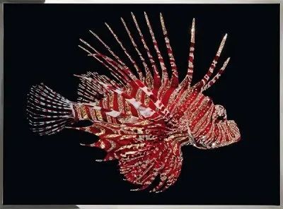 Лот: 21291354. Фото: 1. Картина Рубиновая рыба-зебра с... Произведения