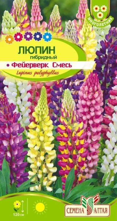 Лот: 12883920. Фото: 1. Семена люпина "Фейерверк", смесь... Садовые цветы