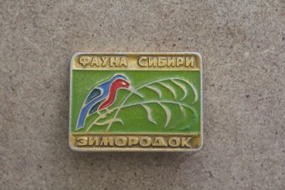 Лот: 21057515. Фото: 1. Значок Фауна Сибири Зимородок. Другое (значки, медали, жетоны)