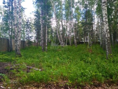 Лот: 13819998. Фото: 1. Продается участок 12 сот. , цена... Земельные участки