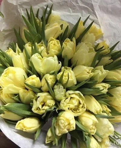 Лот: 12988183. Фото: 1. Тюльпаны пионовидные / Голландия. Свежие цветы