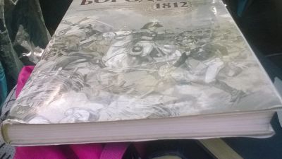 Лот: 7616293. Фото: 1. книга про Бородино с картинками. Изобразительное искусство
