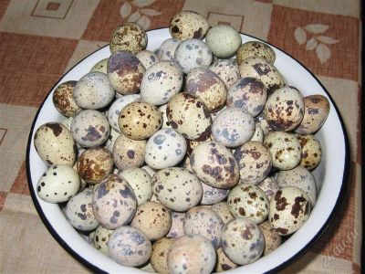 Лот: 1652514. Фото: 1. Яйцо перепелиное. Икра, рыба, морепродукты