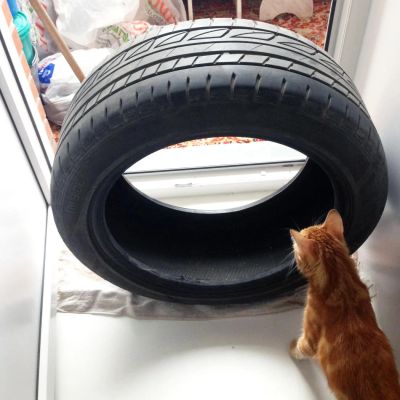 Лот: 4094493. Фото: 1. Летние шины Bridgestone б/у (3... Шины