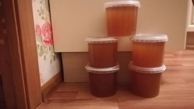 Лот: 12315743. Фото: 1. Алтайский цветочный мед. Мёд, продукты пчеловодства