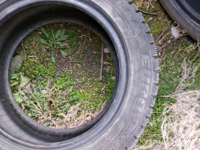 Лот: 12460838. Фото: 1. Резина зимняя шипованная ВАЗ. Шины