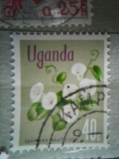 Лот: 12042941. Фото: 1. Уганда 1969. Флора. Марки