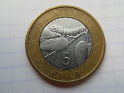 Лот: 9887731. Фото: 1. Ботсвана 5 пул 2013. Африка