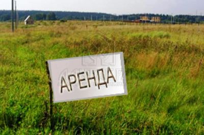 Лот: 7130035. Фото: 1. Аренда земли сельскохозяйственного... Земельные участки