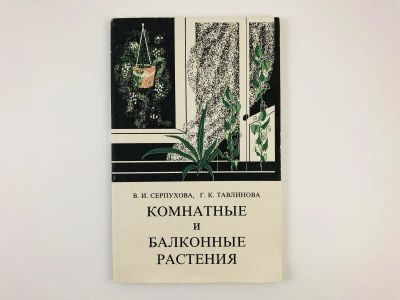 Лот: 23276565. Фото: 1. Комнатные и балконные растения... Сад, огород, цветы