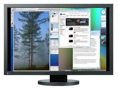 Лот: 6664232. Фото: 1. Профессиональный монитор Eizo... ЖК-мониторы