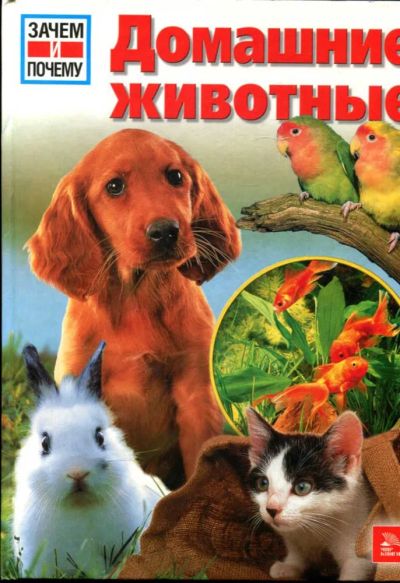 Лот: 23434962. Фото: 1. Домашние животные | Серия: Зачем... Познавательная литература