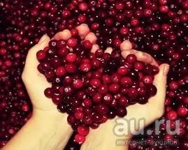 Лот: 8887421. Фото: 1. брусника клюква. Ягоды, орехи