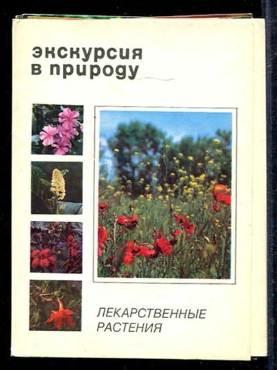 Лот: 23433059. Фото: 1. Экскурсия в природу. Лекарственные... Открытки, конверты