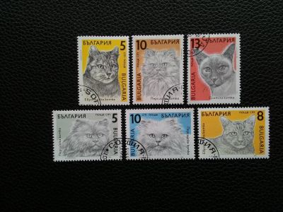Лот: 14697770. Фото: 1. 1989. Болгария. Кошки. Полная... Марки